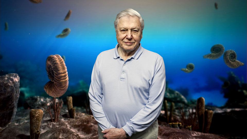 David Attenborough