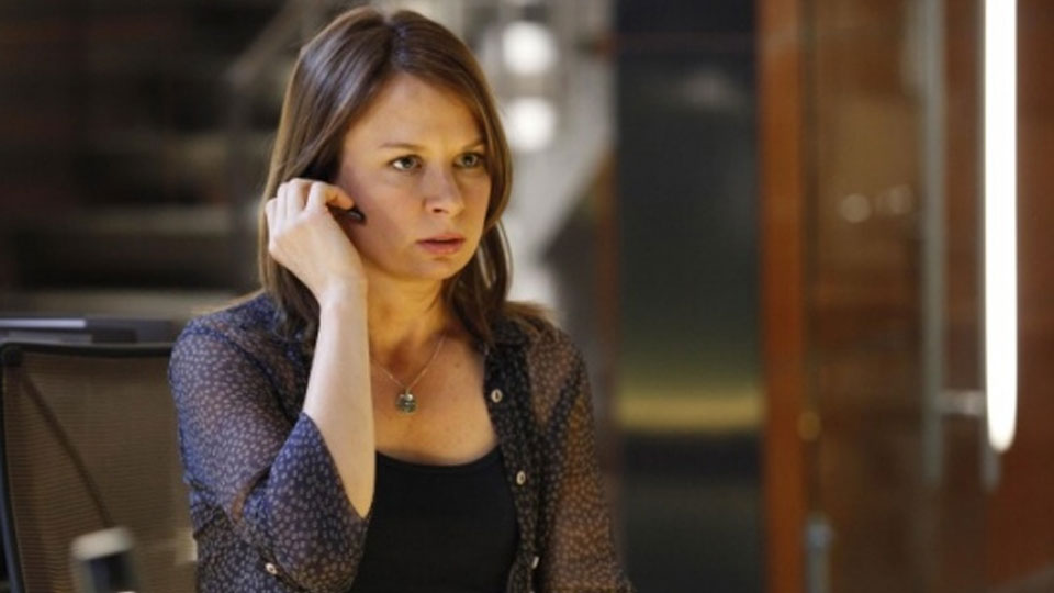 Mary Lynn Rajskub