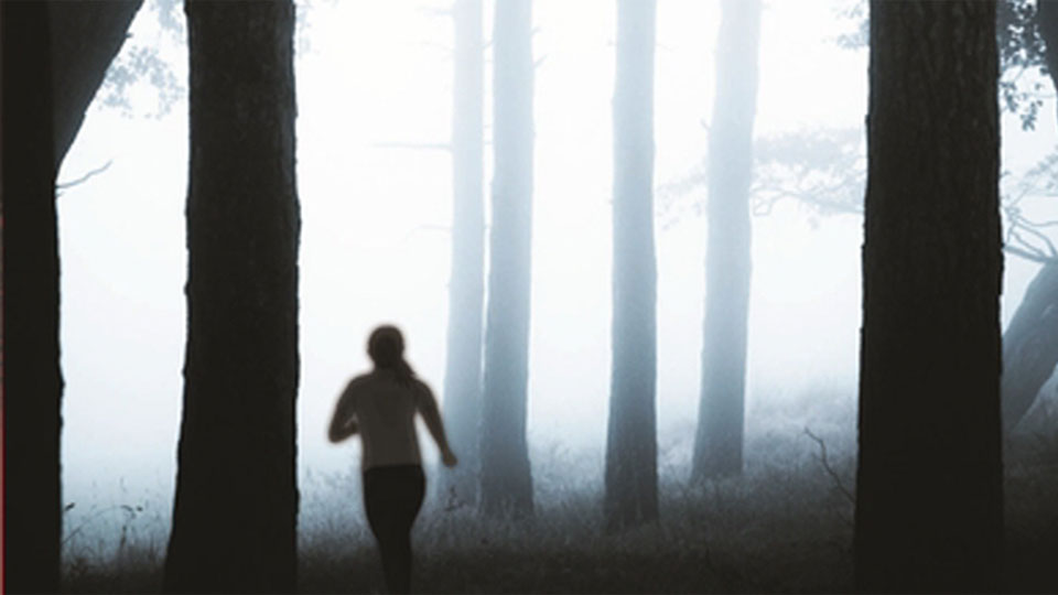 Shakespeare’s Champion