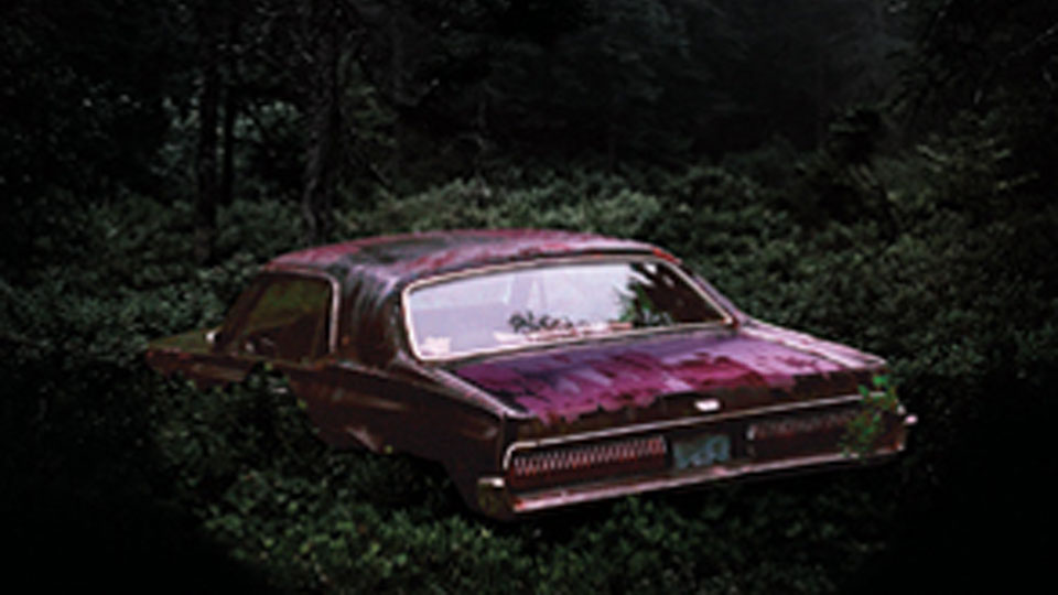 Shakespeare's Trollop