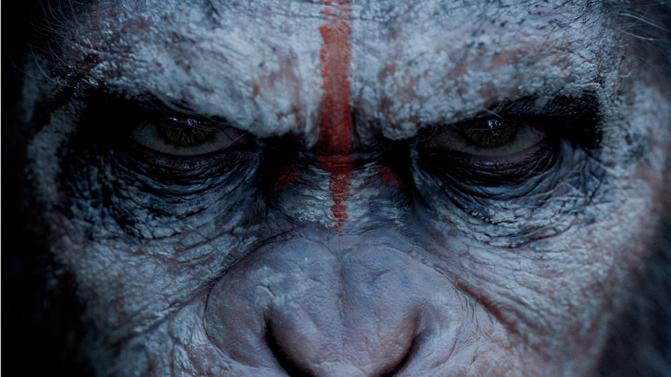 Dawn of the Planet of the Apes