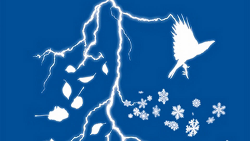 The Harper Connelly Omnibus