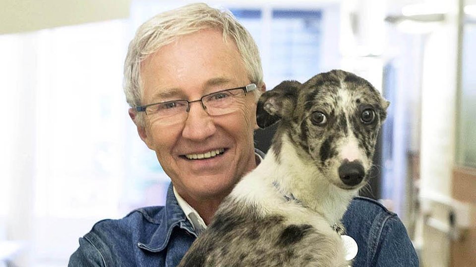 Paul O'Grady: For The Love of Dogs