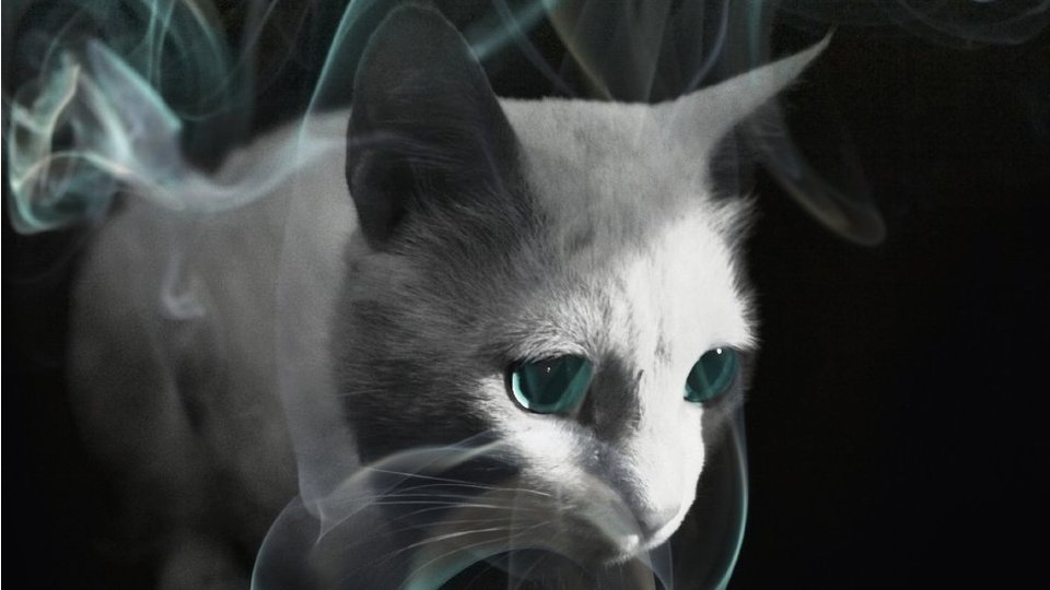 Stephen King - Doctor Sleep