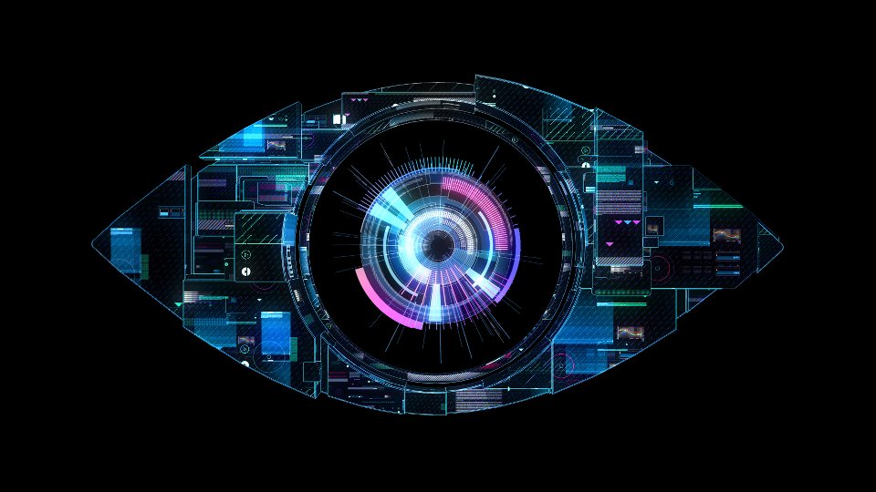 Big Brother: Power Trip