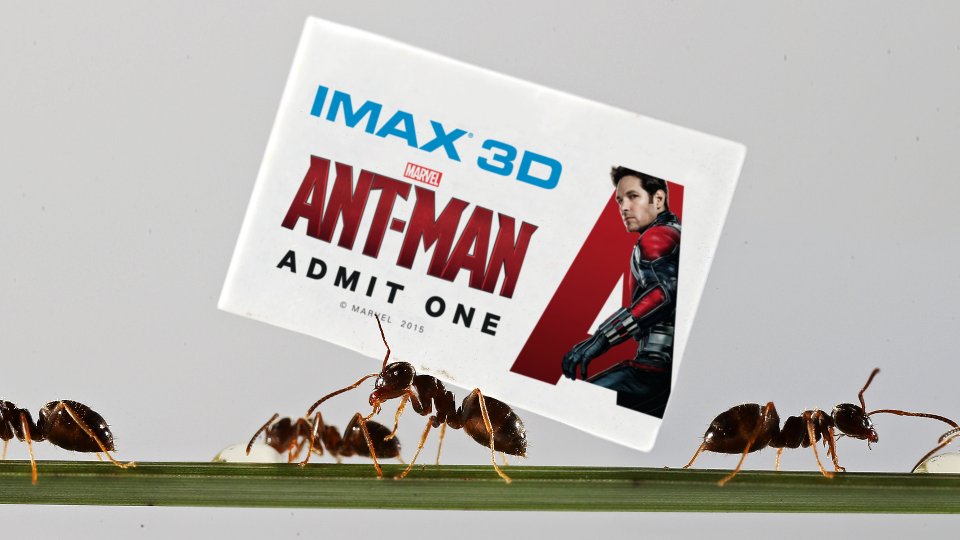 Ant-Man