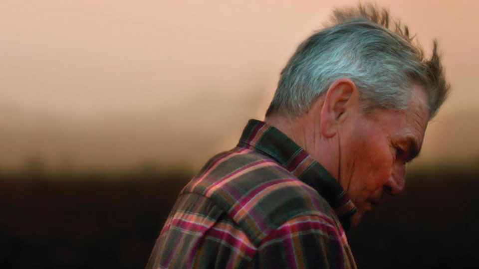 And then come the Nightjars