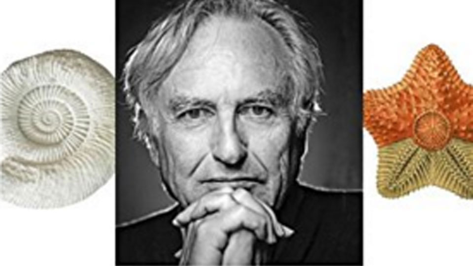 Brief Candle in the Dark