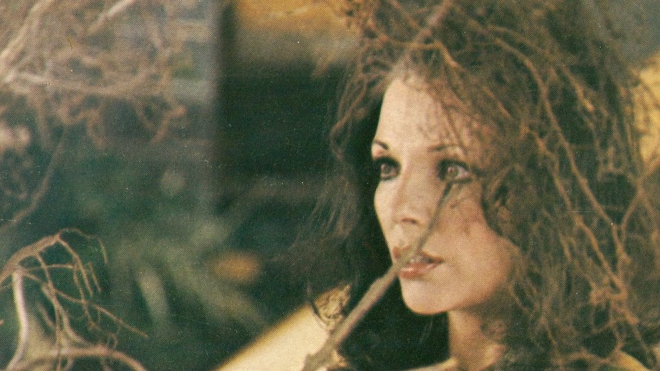 Tales That Witness Madness