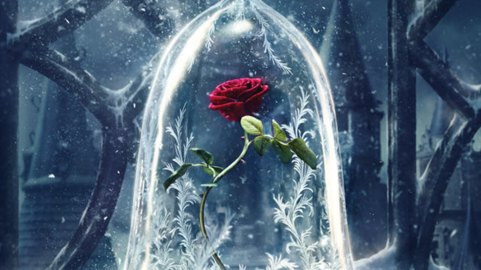 Beauty and the Beast