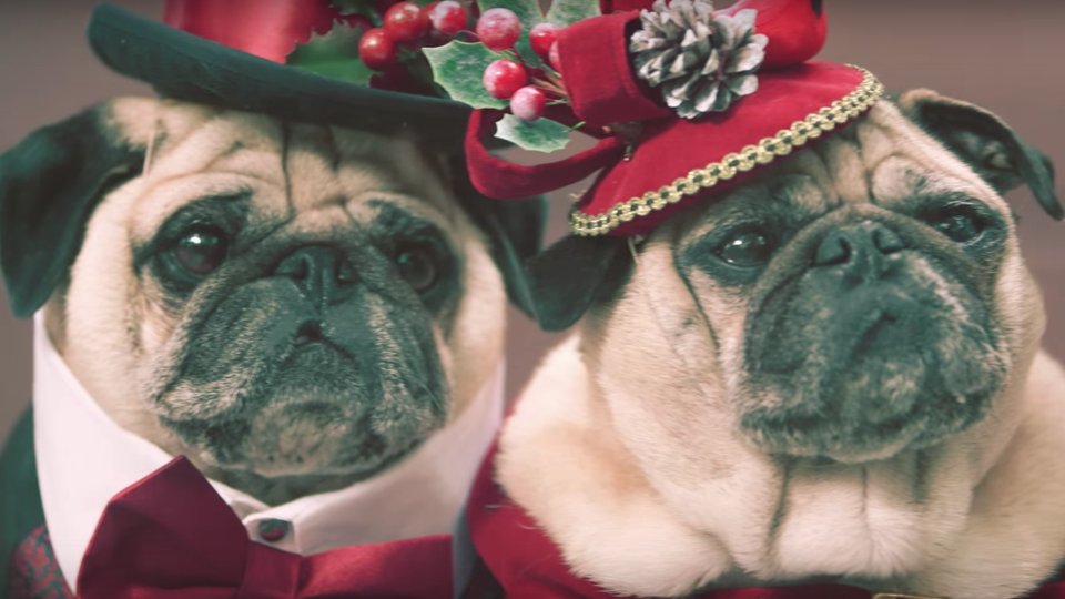 She & Him - Winter Wonderland