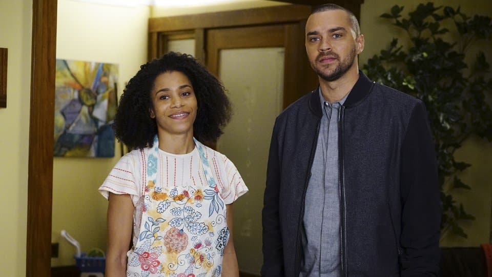 Grey's Anatomy 13x18