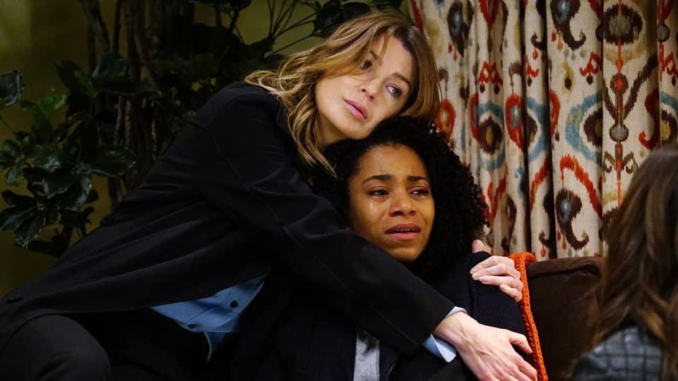 Grey's Anatomy 13x19