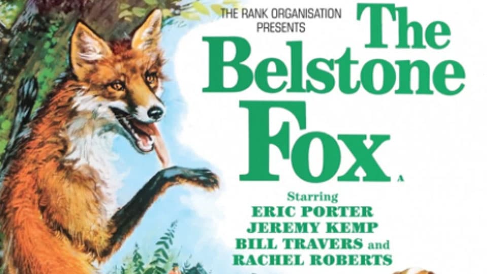 The Belstone Fox