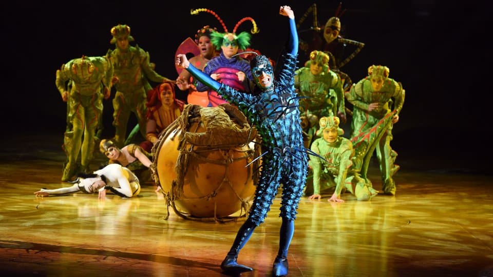 Cirque Du Soleil - OVO