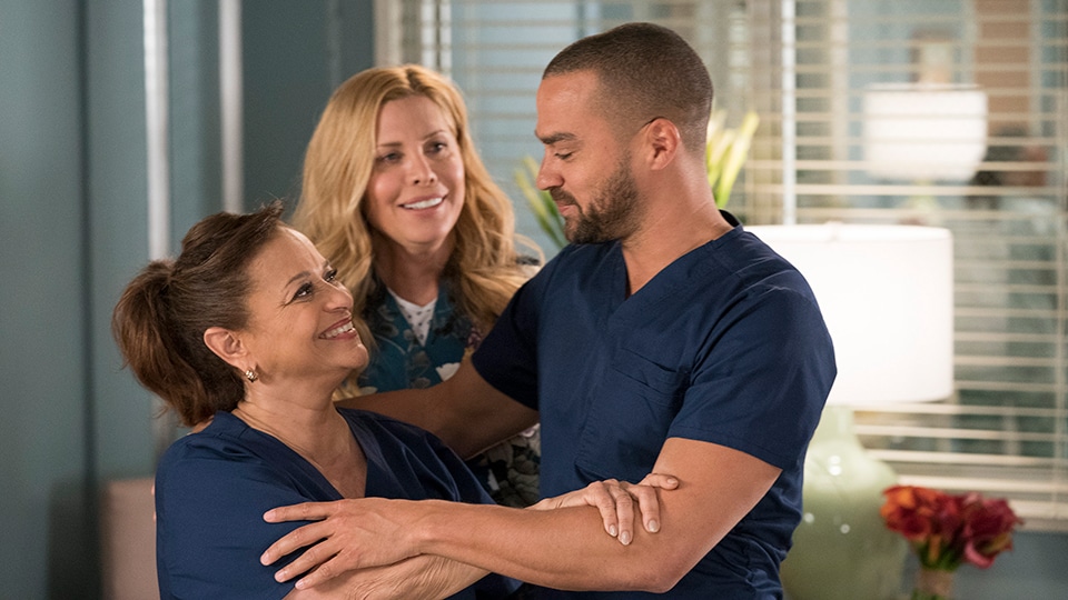 Grey's Anatomy 14x16