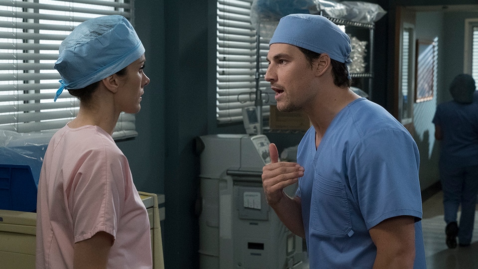 Grey's Anatomy 14x19 Beautiful Dreamer