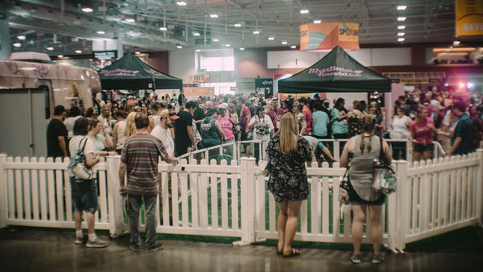 MuttNation at CMA Fest