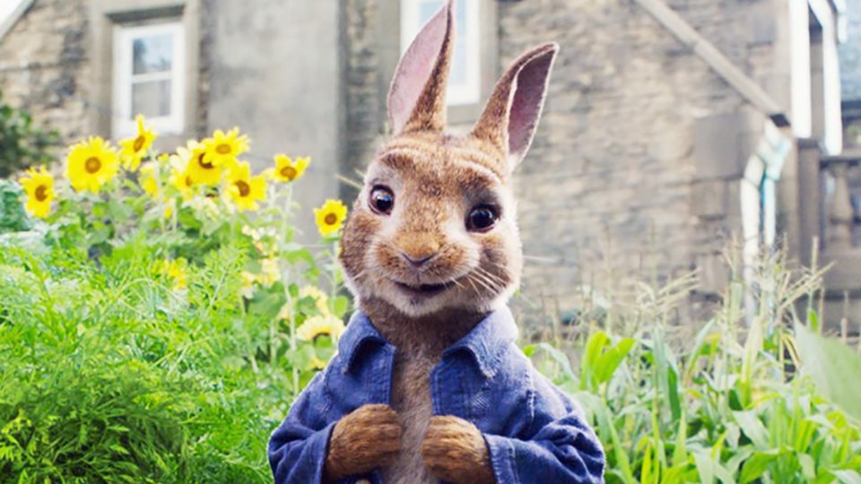Peter Rabbit
