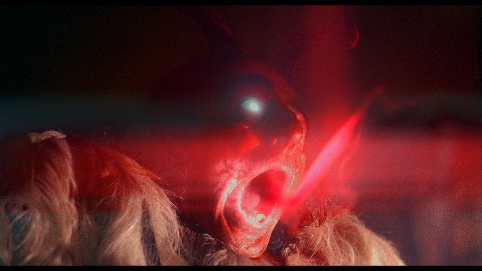 The Field Guide to Evil