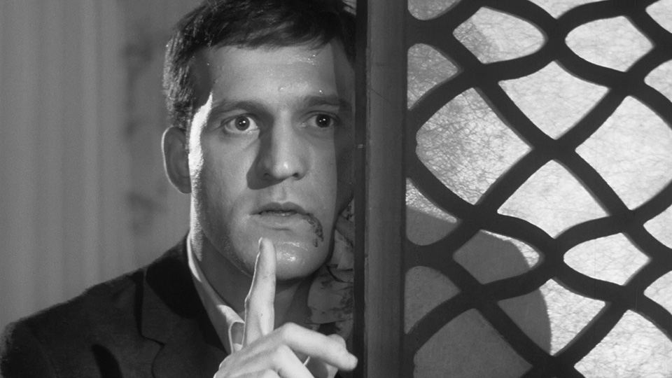 Who Killed Teddy Bear