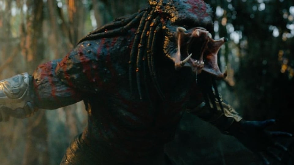 The Predator
