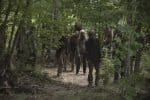The Walking Dead - 9x05