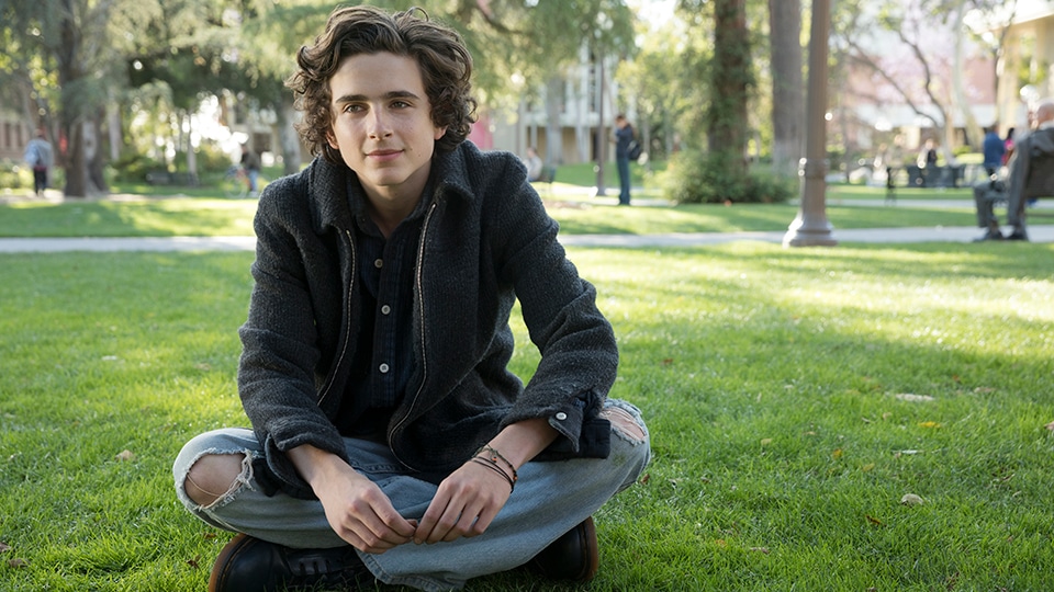 Beautiful Boy - Timothee Chalamet