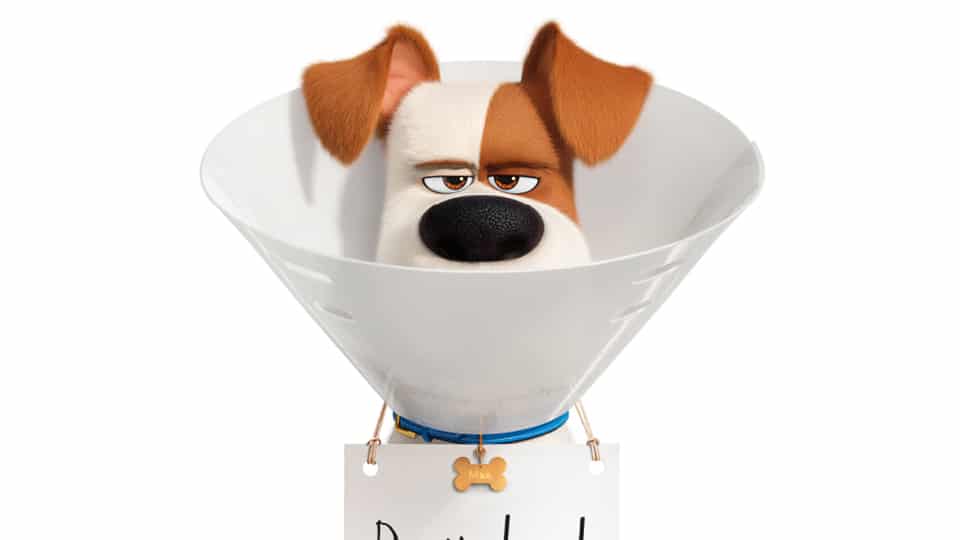 The Secret Life of Pets 2