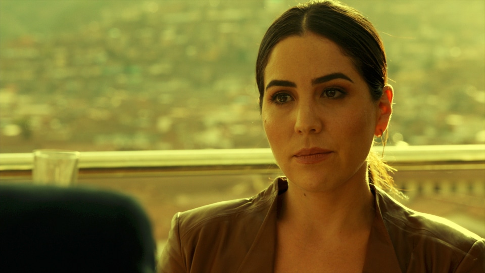 Blindspot - 4x08