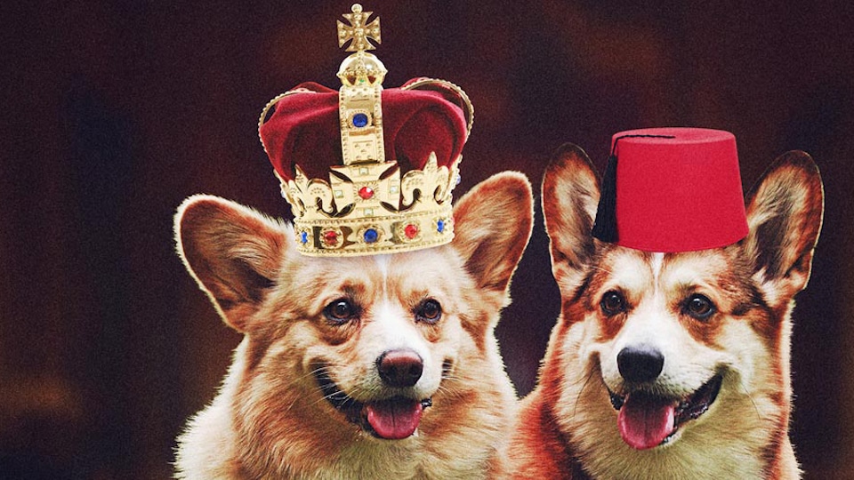 Crown Dual to open at King's Head Theatre March 2019