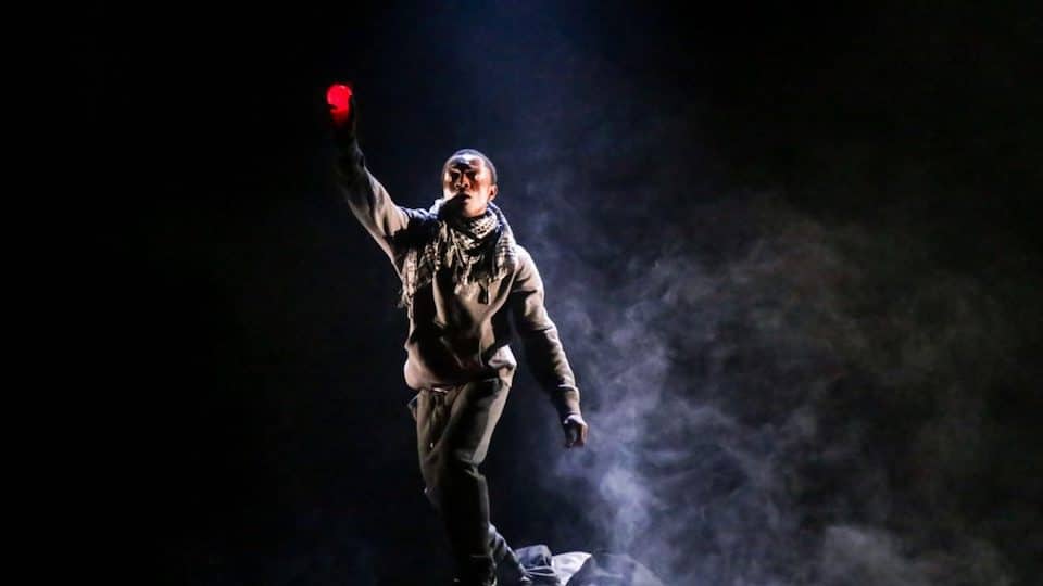 good dog to tour from January