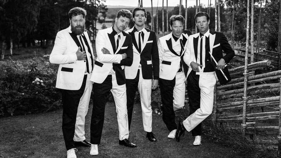 The Hives