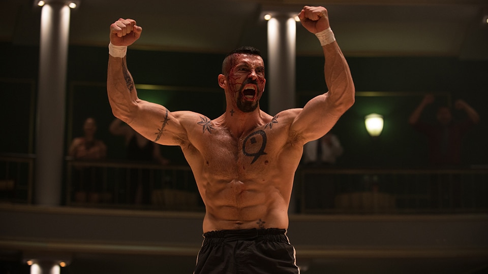 Undisputed: Fight For Freedom