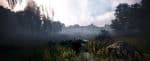 Black desert online
