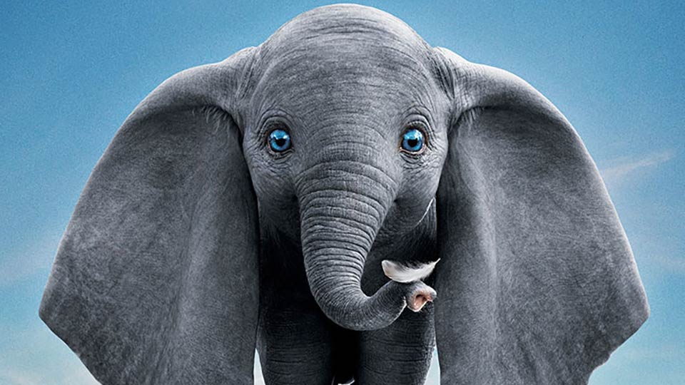 Dumbo