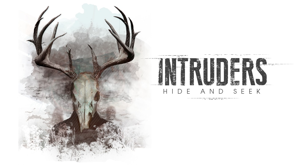 Intruders: Hide and Seek
