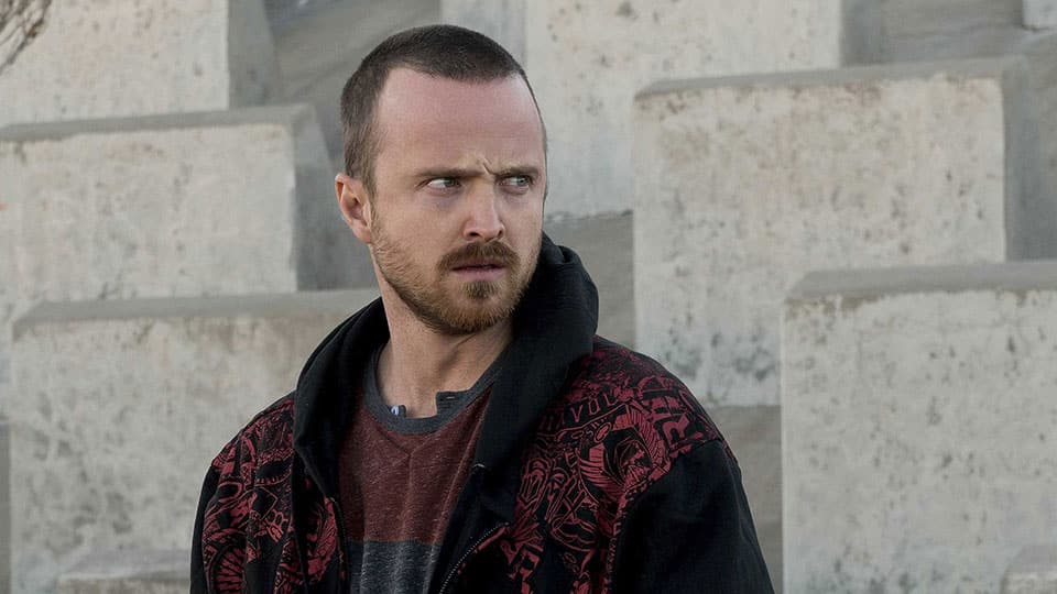 Breaking Bad - Aaron Paul