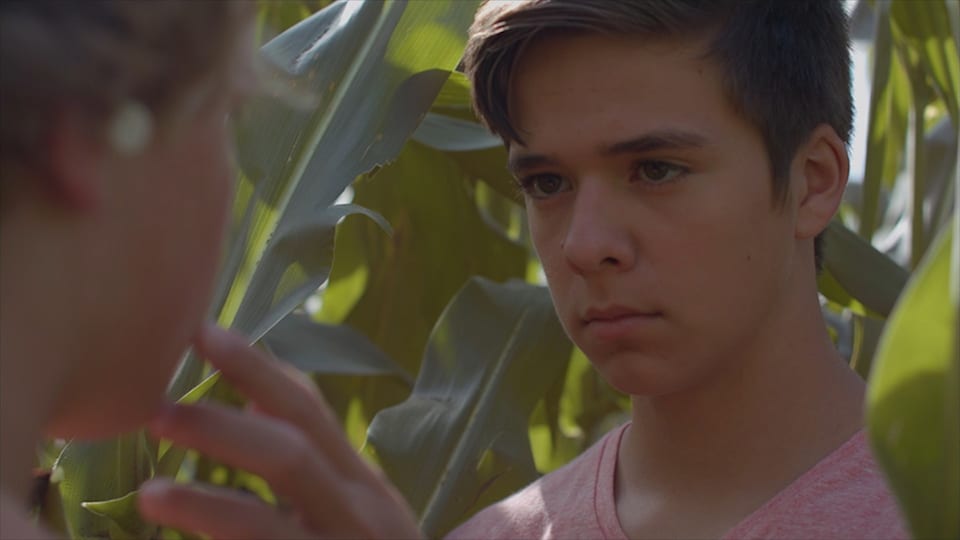 Desire: The Short Films of Ohm