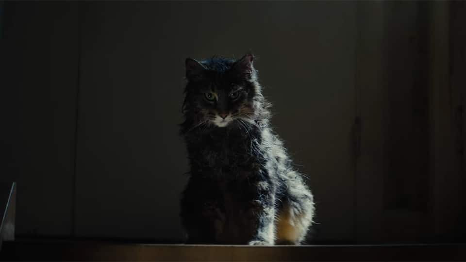 Pet Sematary