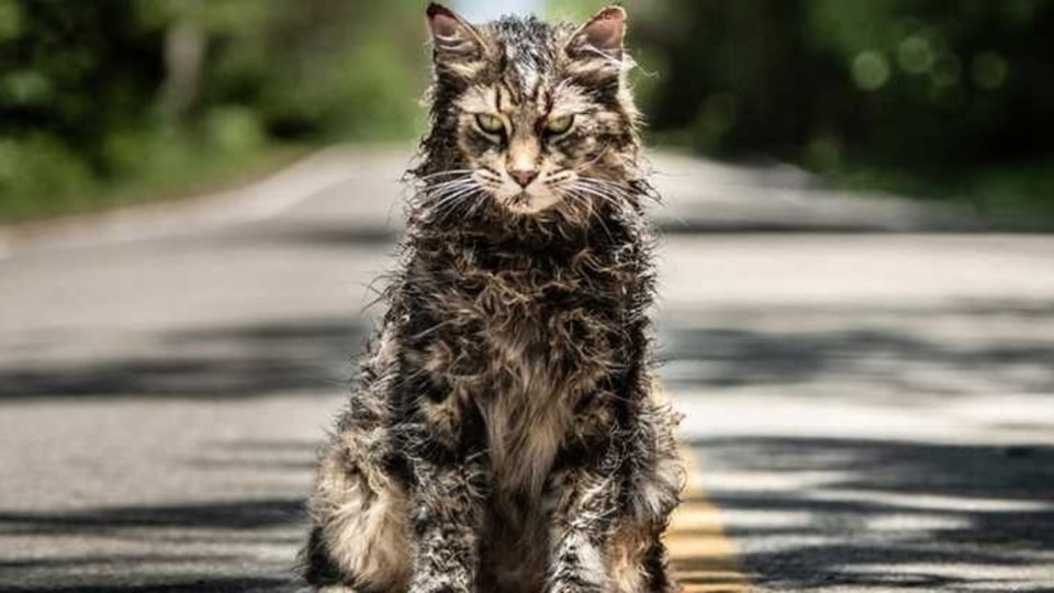 Pet Sematary