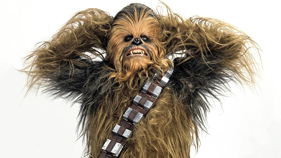 Chewbacca - Peter Mayhew