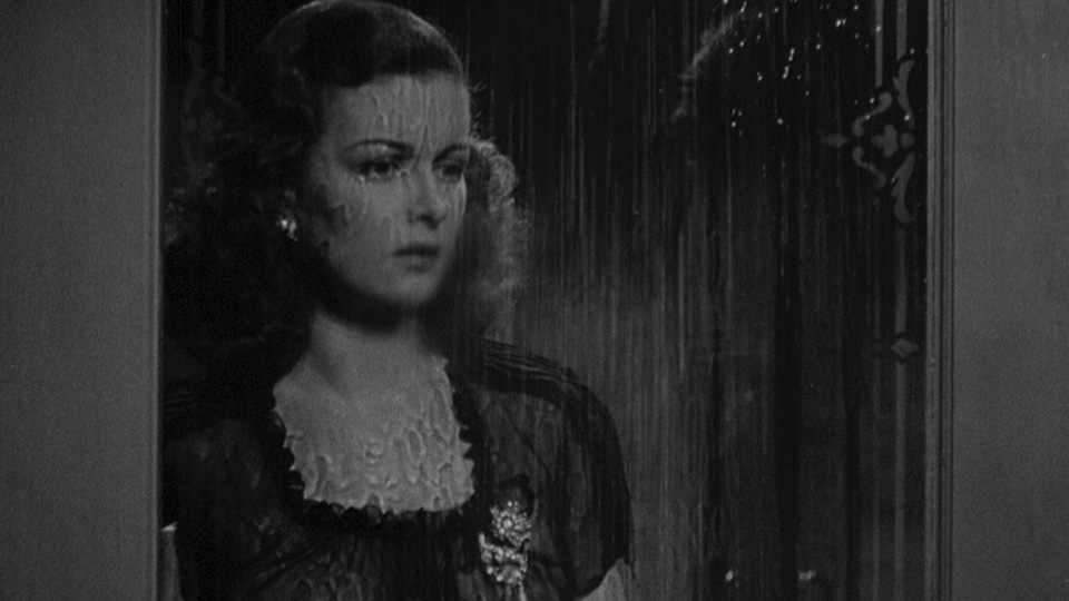 The Woman in the Window