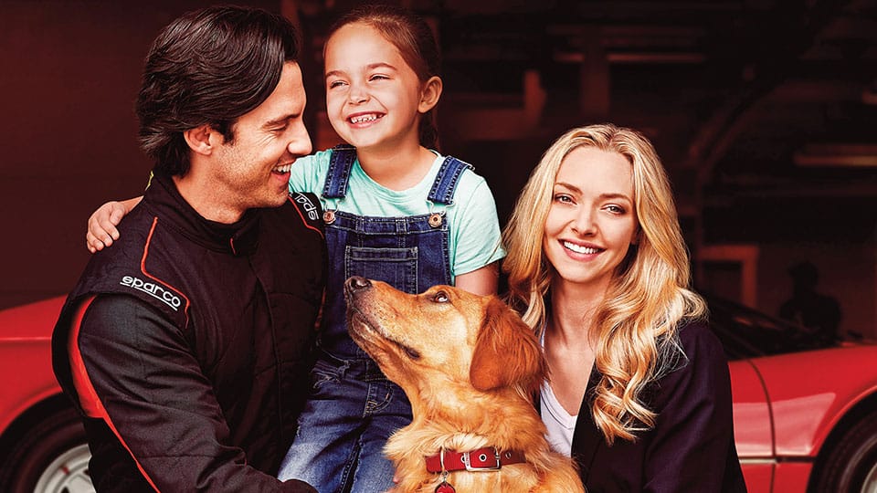 The Art of Racing in the Rain