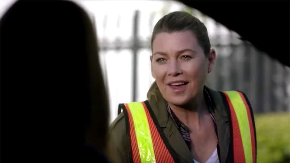 Grey's Anatomy season 16