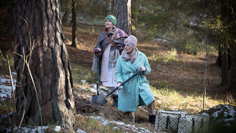 Walter Presents: A Very Scandi Scandal