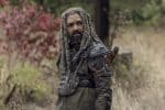 The Walking Dead - 10x15