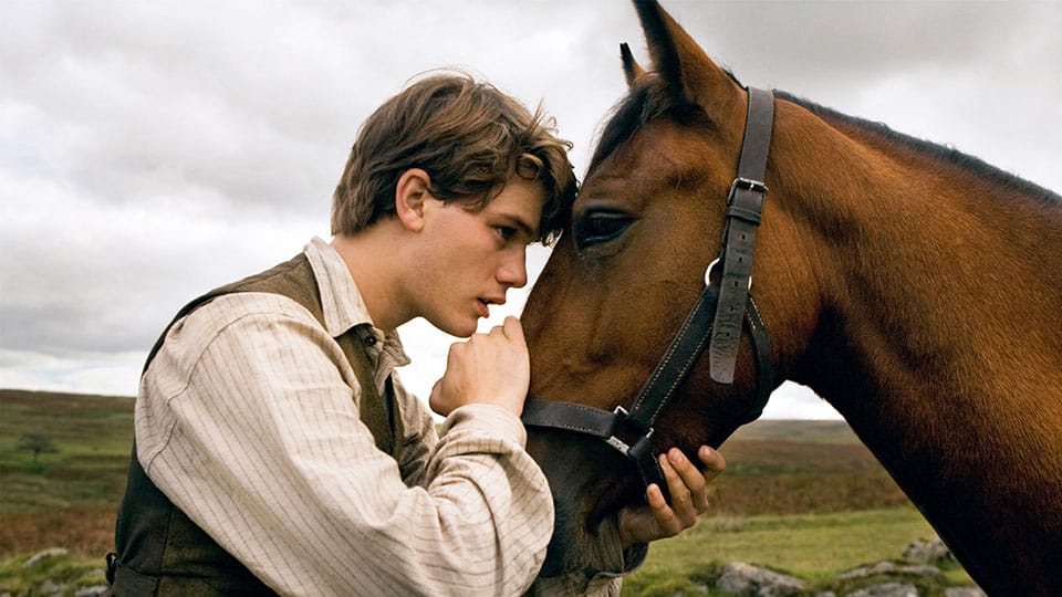 War Horse