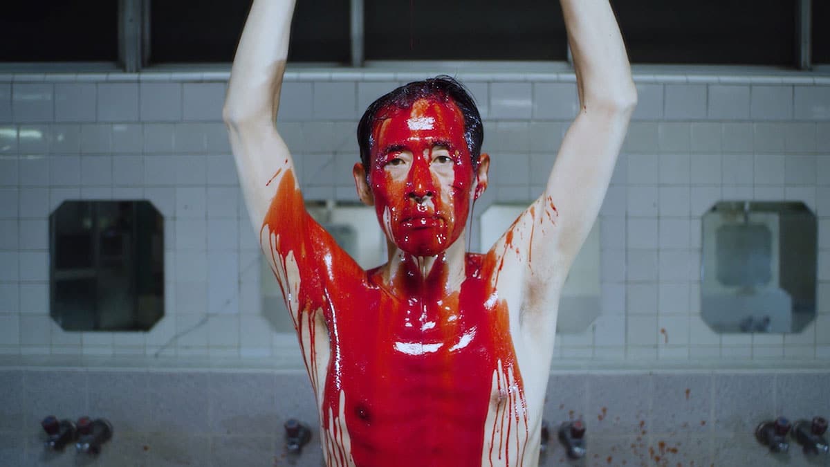 Woman of the Photographs