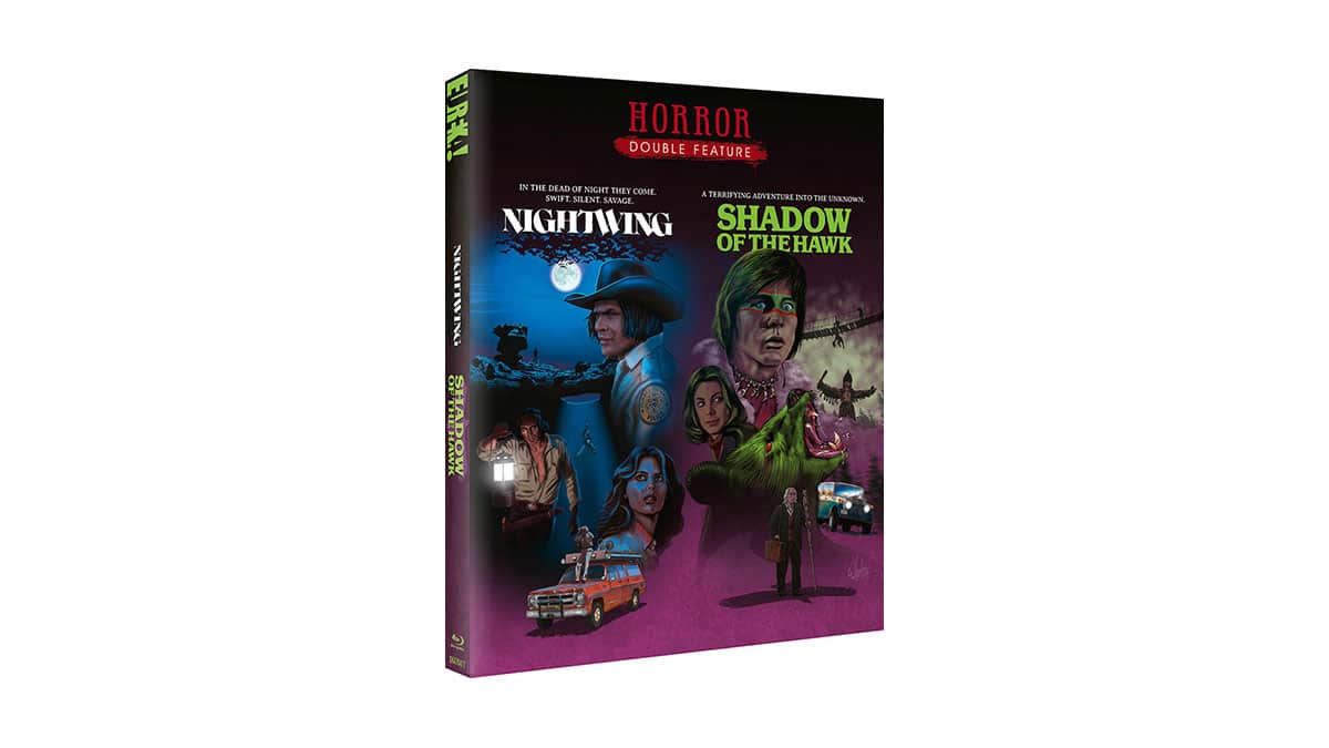 Nightwing and Shadow of the Hawk